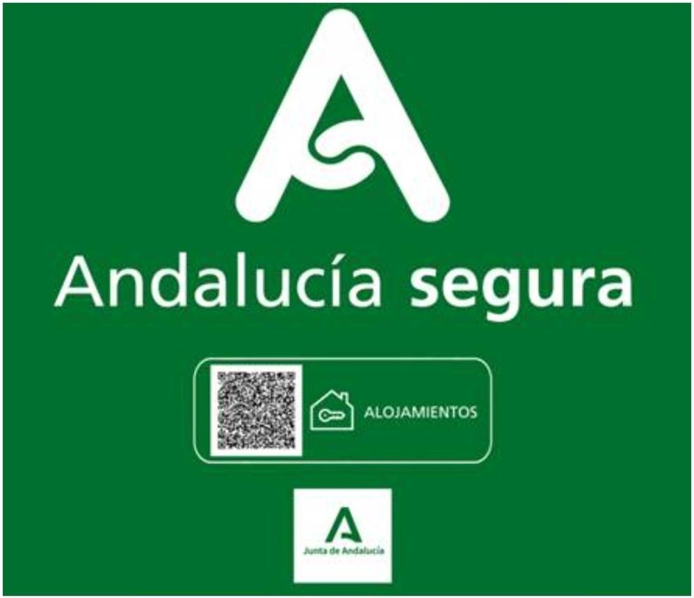 Todosierranevada Zona Baja - Apartamentos De 4 Dormitorios - Junto A Los Telecabinas Sierra Nevada Ngoại thất bức ảnh