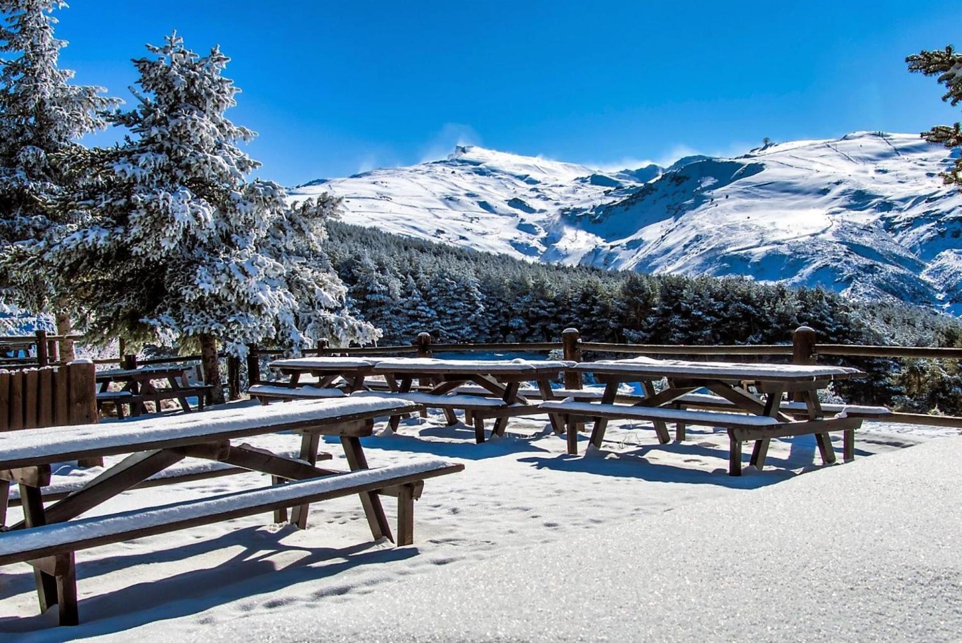 Todosierranevada Zona Baja - Apartamentos De 4 Dormitorios - Junto A Los Telecabinas Sierra Nevada Ngoại thất bức ảnh